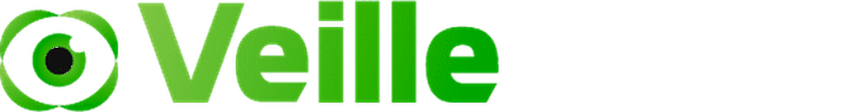 VeilleWeb2